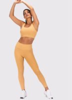 Fits You All Shape Valued Set